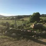 La Caletta סיניסקולה