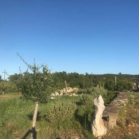 La Caletta Appartamento